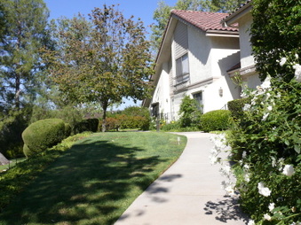 Enlarge photo 61
