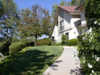 Enlarge photo 62