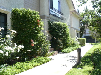 Enlarge photo 63