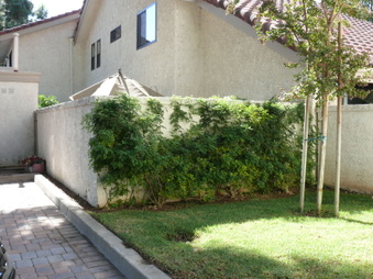 Enlarge photo 77