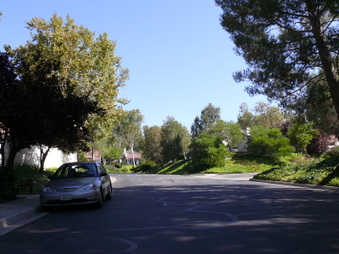 Enlarge photo 85