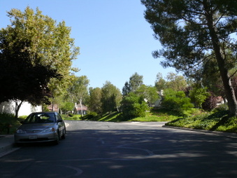 Enlarge photo 86