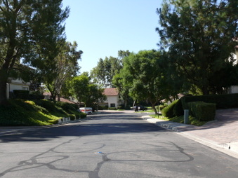 Enlarge photo 87
