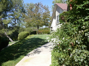 Enlarge photo 110