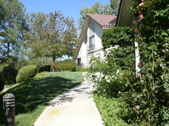 Enlarge photo 111