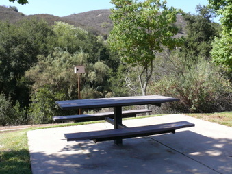 Enlarge photo 21