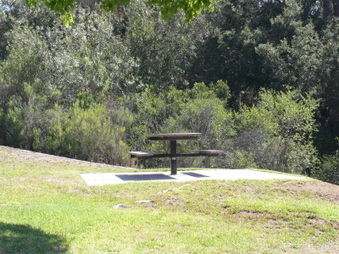 Enlarge photo 25