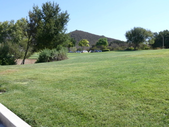 Enlarge photo 30