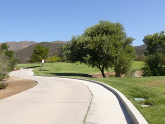 Enlarge photo 31
