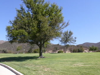 Enlarge photo 35