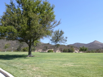 Enlarge photo 36