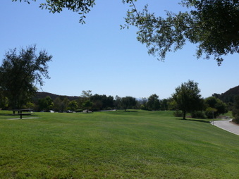 Enlarge photo 37