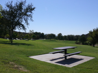 Enlarge photo 40