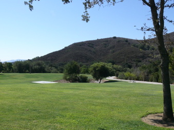 Enlarge photo 42