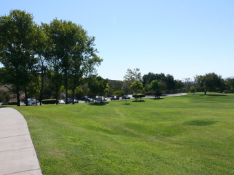 Enlarge photo 44