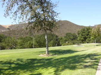 Enlarge photo 45