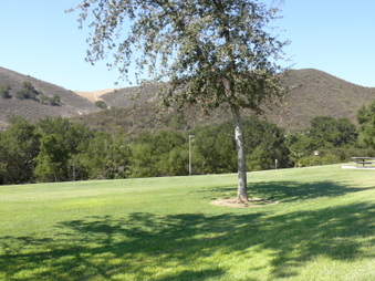 Enlarge photo 46