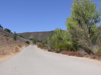 Enlarge photo 9