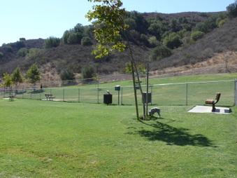 Enlarge photo 21