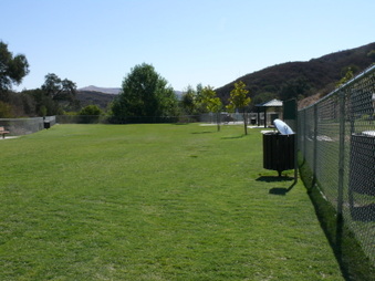 Enlarge photo 25