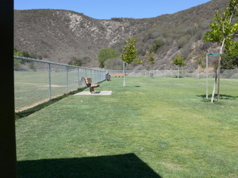 Enlarge photo 29