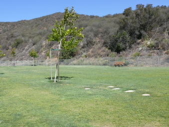 Enlarge photo 30