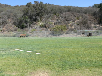 Enlarge photo 31
