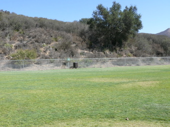 Enlarge photo 32