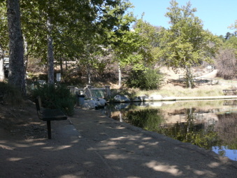 Enlarge photo 19