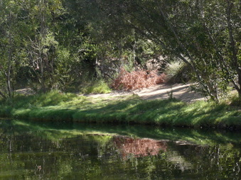 Enlarge photo 42