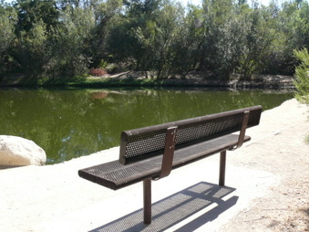 Enlarge photo 45