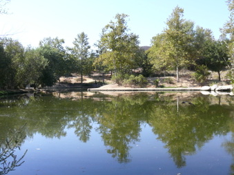 Enlarge photo 58