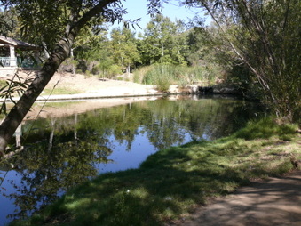 Enlarge photo 71
