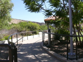 Enlarge photo 35