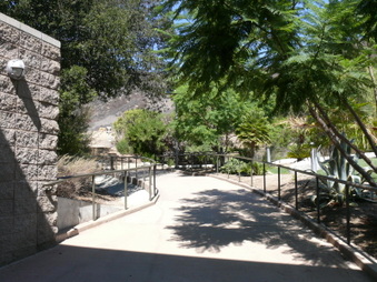 Enlarge photo 40