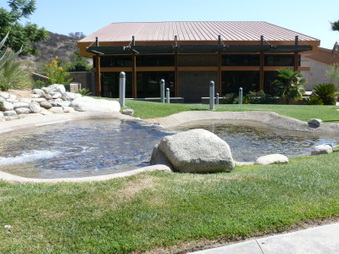 Enlarge photo 45