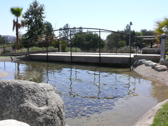 Enlarge photo 46