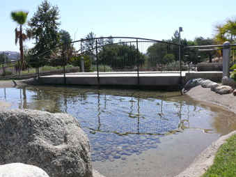 Enlarge photo 47