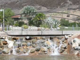 Enlarge photo 49