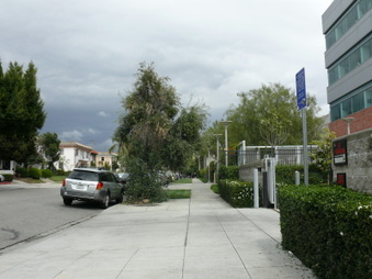 Maubert Ave