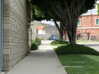 Enlarge photo 17