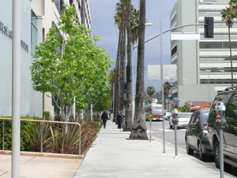 Enlarge photo 2