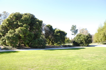 Enlarge photo 2