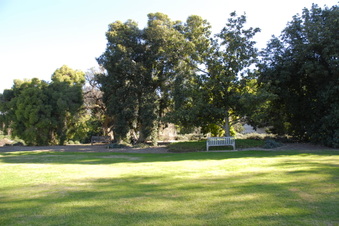 Enlarge photo 7