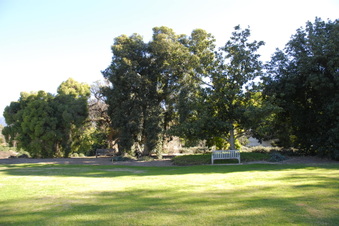 Enlarge photo 8