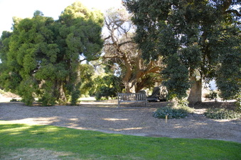 Enlarge photo 10