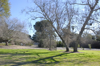 Enlarge photo 14