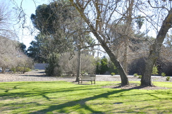 Enlarge photo 15