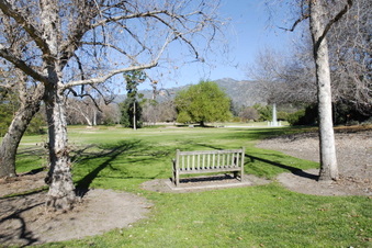 Enlarge photo 17