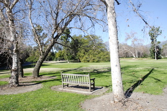 Enlarge photo 18